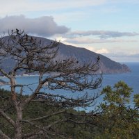 Морской пейзаж :: Татьяна Тюменка