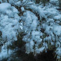 ❄️ :: Наталья