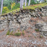 И на камнях растут деревья... :: Виктор Мухин