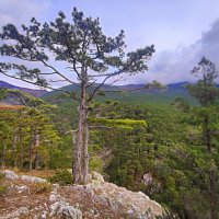 Урочище Уч-Кош. :: Виктор Мухин