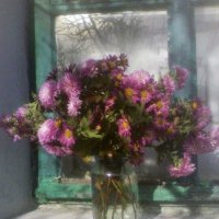 Ноябрьское солнышко :: Наталья 