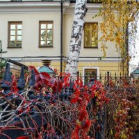 Из осеннепрогулочного :: svk *