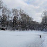 Озеро :: Радмир Арсеньев