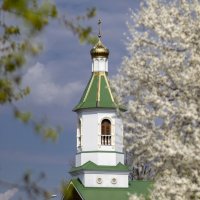 Б.Н. :: Николай 