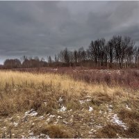 Поздняя осень :: Валентин Котляров