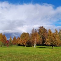 Оттенки теплой осени .. :: Татьян@ Ивановна