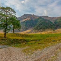 Ущелье Маруха. :: Аnatoly Gaponenko