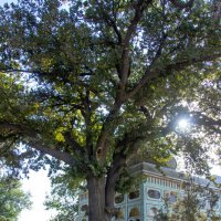 Дача Эмира Бухары :: Максим 