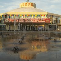 Цирк,Цирк,Цирк.... :: Алёна Алексаткина Цирк,Цирк,Цирк.... :: Алёна Алексаткина