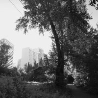 *** :: Сергей Сергеев