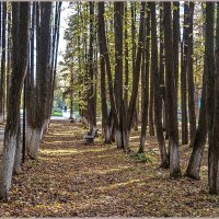 Тёплый вечер :: Aquarius - Сергей Тёплый вечер :: Aquarius - Сергей