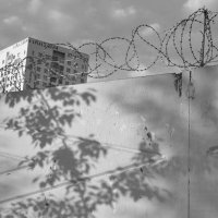 *** :: Сергей Сергеев