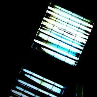 * :: Василий Палий