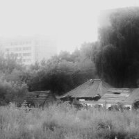 Скрытые от взора :: Сергей Сергеев