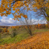 Октябрь в Царицыно... :: Владимир Жданов