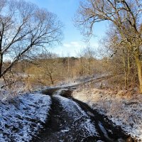 Дорога рыбаков по берегу озера (репортаж из поездок по области). :: Милешкин Владимир Алексеевич 