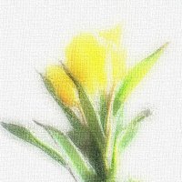 тюльпановое :: Татьяна ТБ