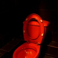 туалет типа несортир :: zavitok *