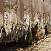 По оз. Баскунчак :: Олег Денисов