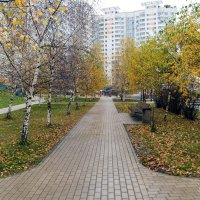 Ноябрь в городе :: Валерий Иванович