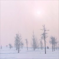 ПРОГУЛКА :: Александр Кустов