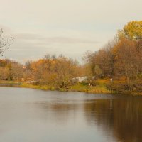 ОСЕННИЙ ДЕНЬ В ПАРКЕ КУЗЬМИНКИ-ЛЮБЛИНО :: Валентина 