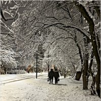Вечерняя прогулка по первому снегу. :: Валерия Комова