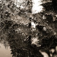 Фотография :: Денис Безногов