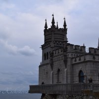 Природа Крыма :: Amazing Cosmea