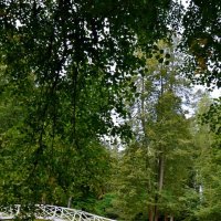 МИХАЙЛОВСКОЕ. :: Виктор Осипчук