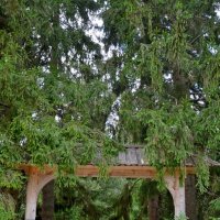 МИХАЙЛОВСКОЕ. :: Виктор Осипчук МИХАЙЛОВСКОЕ. :: Виктор Осипчук