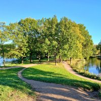 Петергофские пруды. :: Лия ☼