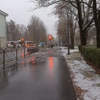 Первый снег. Зеленогорск. Ленинградская область. :: Лилия * Первый снег. Зеленогорск. Ленинградская область. :: Лилия *