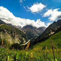 Иле-Алатауский государственный национальный природный парк :: HART BAD