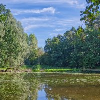 Пруд ... :: Jakob Dick