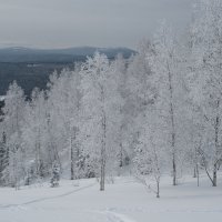 Серебряная сказка :: Сергей Герасимов