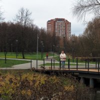 ***** :: юрий поляков