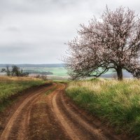 Вспоминая весну :: Ирина 