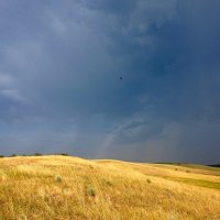 Сгущается... :: Вячеслав Алтай