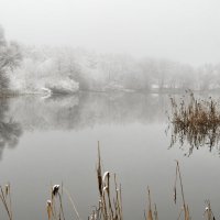 Туман и снег межсезонья :: Валерий VRN