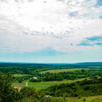 Холки Окрестности :: Александр Леонов