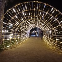 Ночной Сочи :: Виктор 