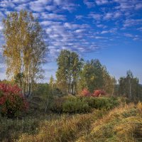 Краски осени :: Barguzin_45 Иваныч