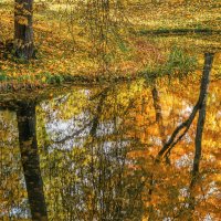 Про Питер :: Владимир Колесников