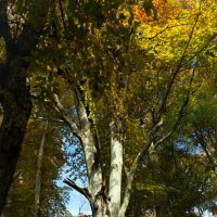 про мускулы стальные...))) :: Всеволод 