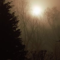 Солнце и туман. :: Юрий Полторыхин.