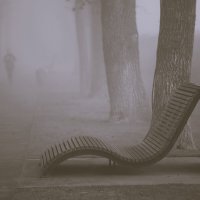 Туманные перспективы. :: Юрий Полторыхин.