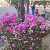 Сухум. Вчера на  улице. Снимала Саша :: Фотогруппа Весна