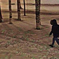 В утренних сумерках на работу! :: Владимир 