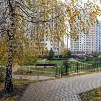 Конец ноября :: Валерий Иванович